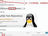 深度Linux安装教程（逐步指导，为您打开Linux的大门）