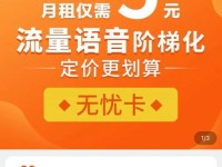 电信大三无卡的使用与优势（畅享无卡时代，电信大三无卡让生活更便捷）
