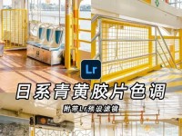 使用LR调色教程（揭秘如何利用电脑色轮让照片更加生动鲜明）