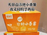 以朵唯薄金贵族功能的卓越表现（探索高性能薄金贵族的多功能优势）