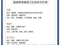 电脑按摩脸部手法教程（学习电脑按摩脸部手法，让你更放松）