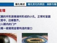 瞳孔闪大会（以瞳孔闪大会见证灵魂的绽放）