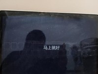 电脑装系统教程（详细教你如何自己装系统，快速解决电脑问题）