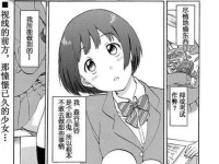 森海塞尔HD555（深度评测和细致解读，带你领略HD555的音乐世界）