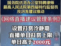 打赏主播的影响力与后果（探索主播打赏的社会现象及其衍生问题）