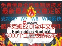 电脑绣花制版补针教程（通过电脑绣花机学习制版补针技巧，快速提升你的绣花水平）