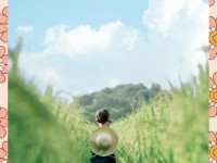夏日清凉，以LR调色让电脑屏幕更舒适（尽享夏日清凉，教你如何用LR调色让电脑屏幕更适合夏季）
