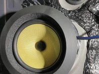 丝膜人声（丝膜人声的演唱技巧和音乐表达力）