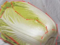 大白菜使用教程iOS模式（如何利用iOS应用程序探索创意美食）