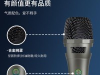 TCL天籁K歌（揭秘TCL天籁K歌的创新之处及其对音乐爱好者的吸引力）