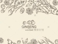 电脑手绘海报素材教程（掌握电脑手绘技巧，轻松设计海报）