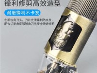 双科手机——全面满足用户需求的智能手机（打破传统，一机在手，尽享多重科技魅力）