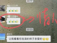 文件泄密的危害与防范措施（揭秘文件泄密的后果及保护数据的关键方法）