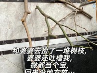 闵筱希（一个普通女孩的成长之路）