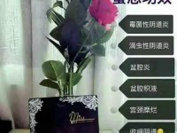 微商现状（洞悉微商发展的关键及前景展望）