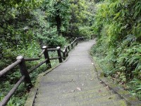 途牛自由行，玩转旅行新方式（便捷高效，让旅行更自由）