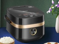 电饭煲漏电的危害与预防措施（保障家庭安全，关注电器用品安全运行）