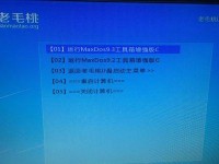 以老毛桃官方网站教程