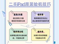 《iPad新手使用指南》（快速上手iPad，成为iPad专家）