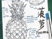 电脑手绘菠萝教程简单分享（轻松掌握手绘菠萝的技巧与窍门）