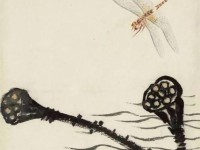 金狐U盘启动教程（使用金狐U盘启动系统轻松实现系统安装与维护）