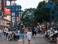 芬兰经济的现状与展望（探索芬兰经济的发展趋势与挑战）