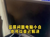 电脑蓝屏启动错误的解决方法（探寻电脑蓝屏问题的根源及解决方案）
